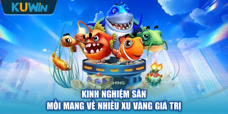 Kinh nghiệm săn mồi mang về nhiều xu vàng giá trị